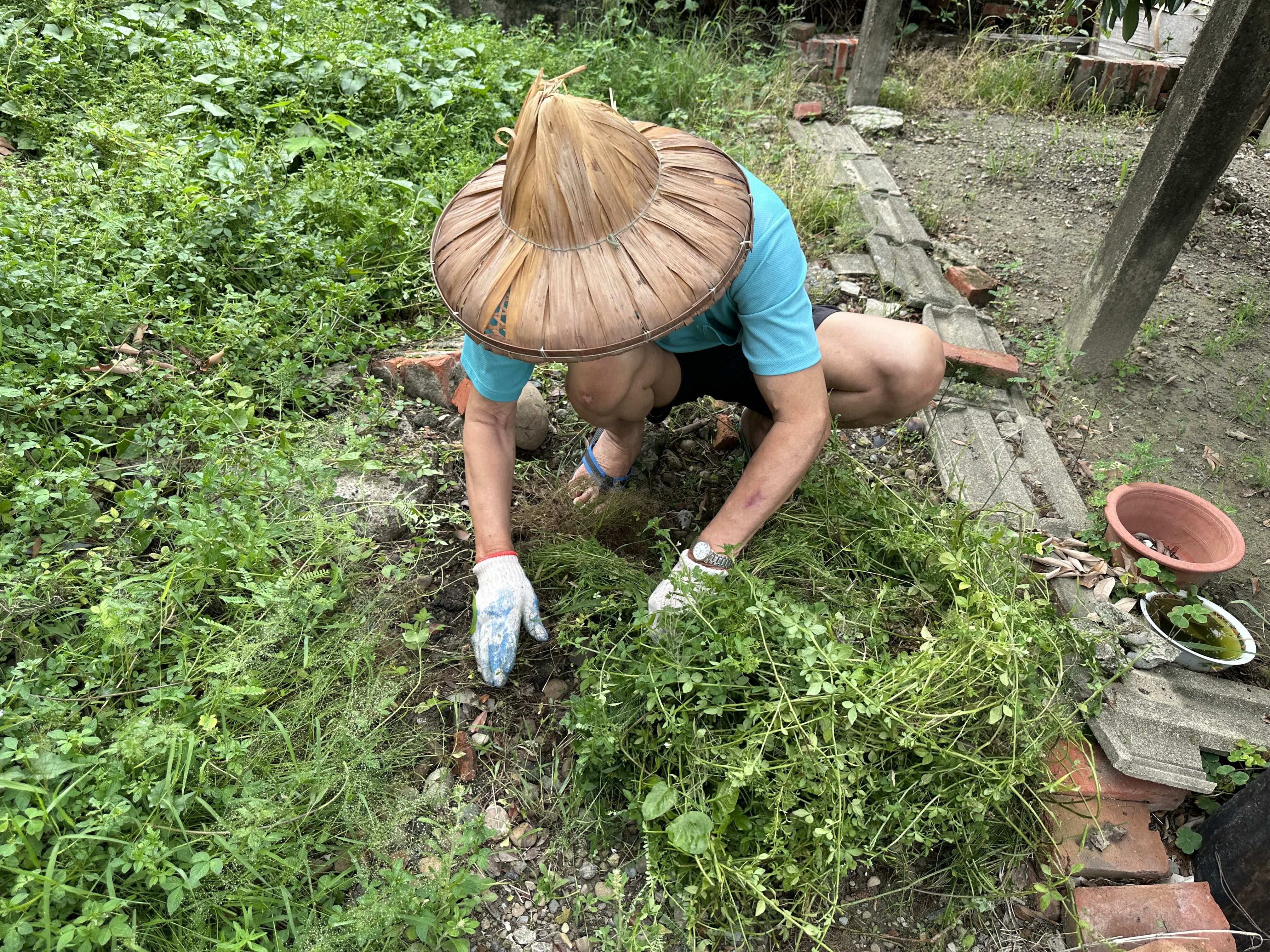 阿英伯平常作些除草零工，難撐次子突發中風癱後的安置自付額。江品璁攝